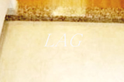 【玄関】 | エクシム門前仲町 | 玄関です。