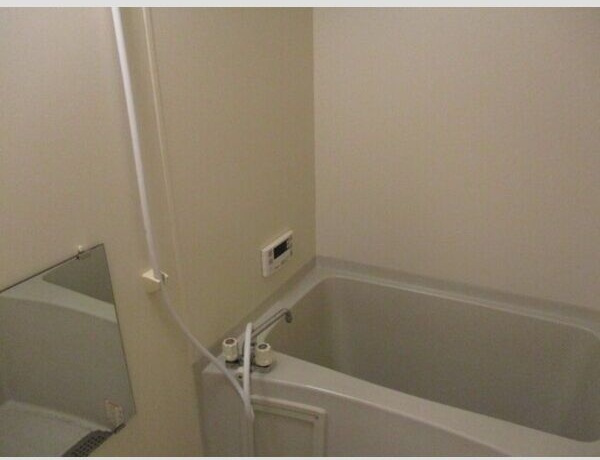 Salt Valley Court　Bの浴室