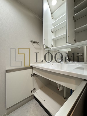 【独立洗面台】 | アーバネックス天満橋Front