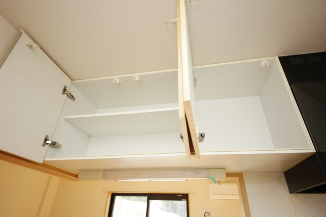 アマリリスの収納