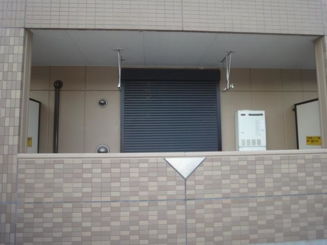 アマリリスのその他