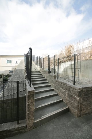 アマリリスの周辺