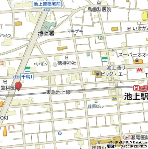 ジェムストーン池上の地図