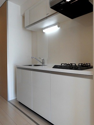 リブリ・Iのキッチン