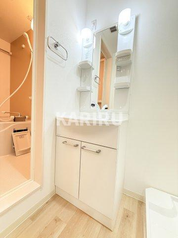 フジパレス今津中ウエストの洗面所