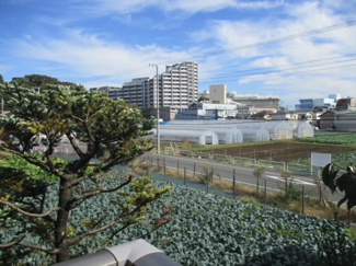 【展望】
