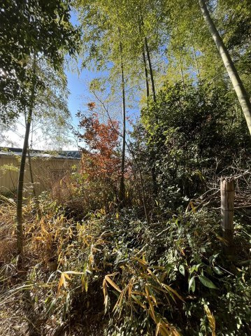 久留米市上津町　売り土地の周辺