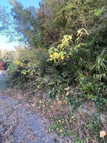 久留米市上津町　売り土地の周辺