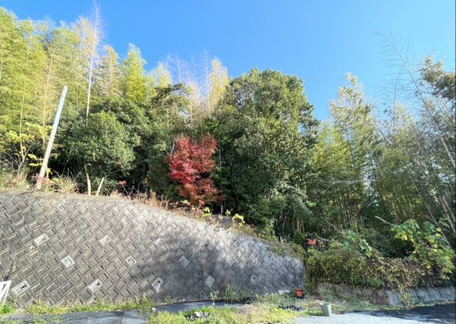 久留米市上津町　売り土地の周辺
