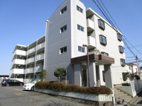 外観は落ち着いています