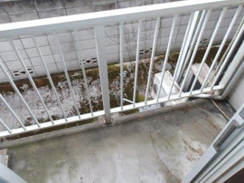 落ち着いた時間を過ごせるバルコニーです