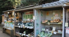 伊藤農園直売所まで197m