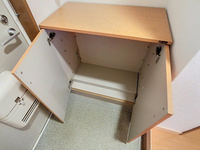 ハイネスイーストⅡの玄関