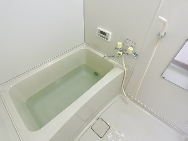 ハイネスイーストⅡの浴室