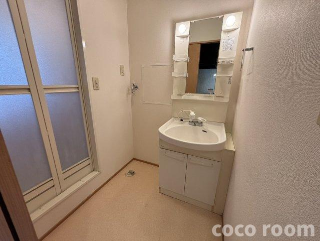 メゾン彩の洗面所