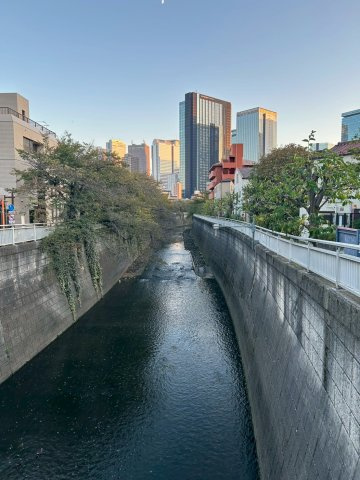 クレッセント新宿柏木のその他|近くの川の写真です♪

お休みの日に歩くのもいいですね