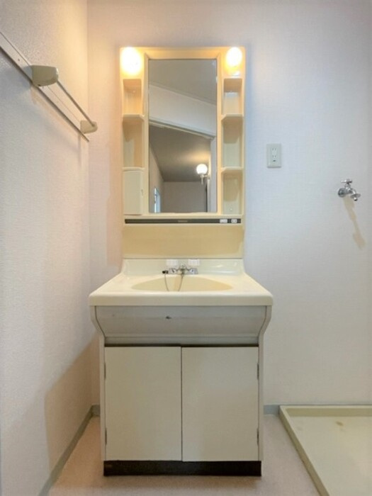 エコーハイツB棟の洗面所