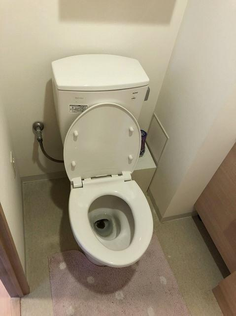 オーベルグランディオハートアイランドのトイレ