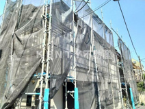 サンパルムアカギの画像