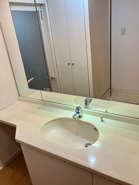 東京サーハウスセンターポートの洗面所