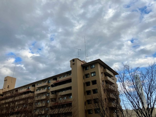 東京サーハウスセンターポートの展望