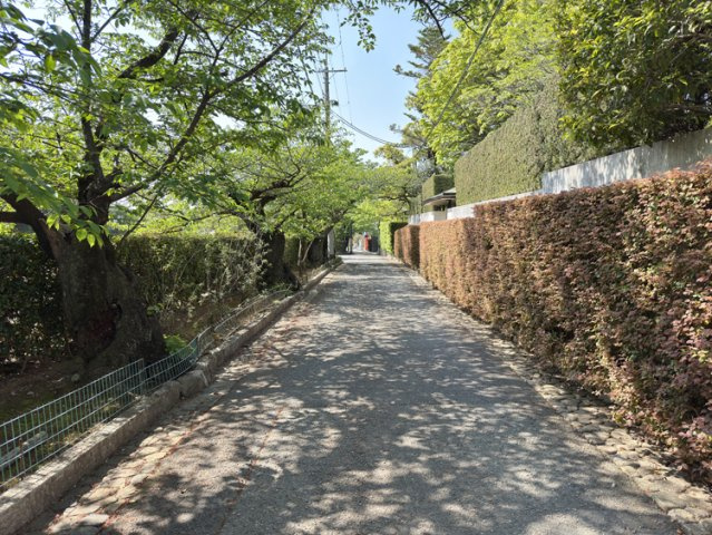ジャルダン雲雀丘花屋敷の周辺