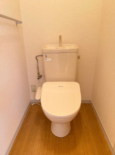 ディアス西舞子のトイレ