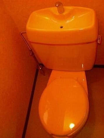 CRESTED　OHI（クレステッド　オオイ）のトイレ