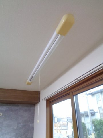 プレシャスのその他