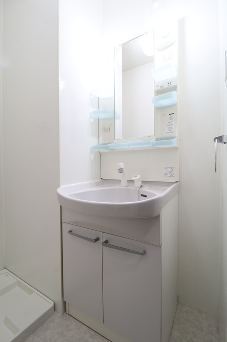 プレシャスの洗面所