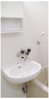 ドミールベルチェリーの洗面所