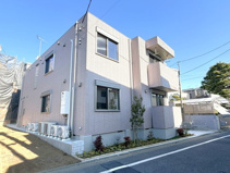 シェルドグレイスの画像