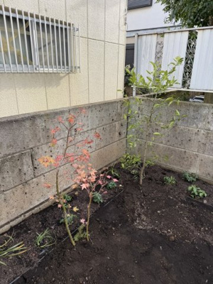 【その他】 | メゾン喜多見(戸建)