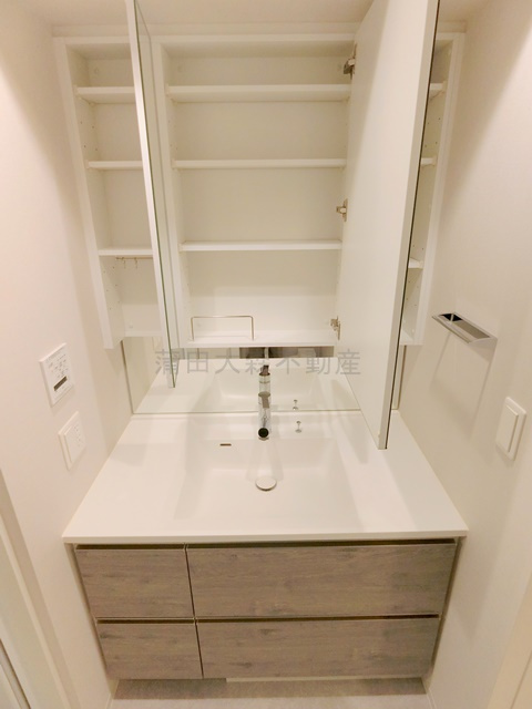 ブランシエスタ西馬込の洗面所