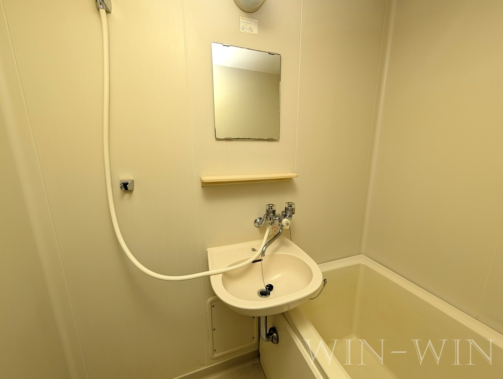 エルディム新栄 Bの洗面所