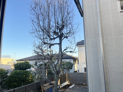 【展望】 | 玉川野毛町パークサイドハウスB