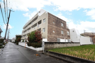 【その他】 | パレ昆陽池公園Ⅰ | 【パレ昆陽池公園Ⅰ】地上６階建　総戸数５８戸　ご紹介のお部屋は５階部分です♪ロフト・広いルーフバルコニーも自慢です！！