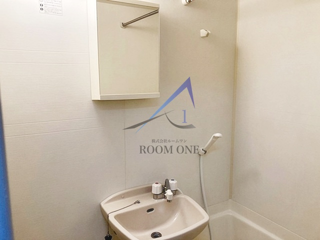 レクレドールの洗面所|洗面台です。