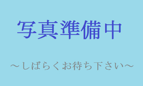 さいたま市大宮区三橋２丁目の倉庫の外観