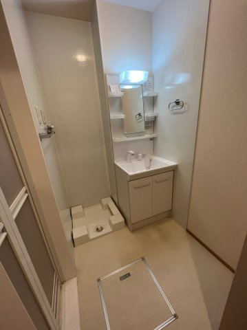 ルミエール大東の洗面所