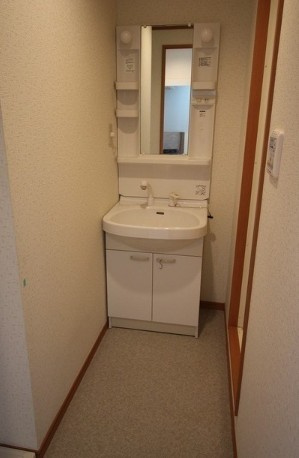 アムールSenの洗面所