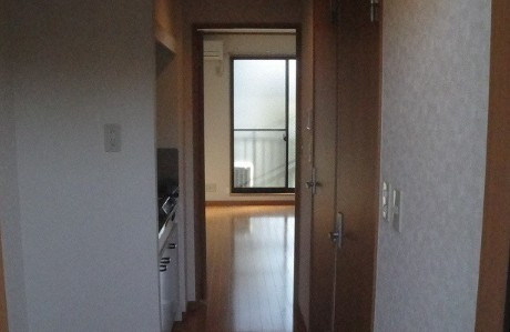 アムールSenのその他