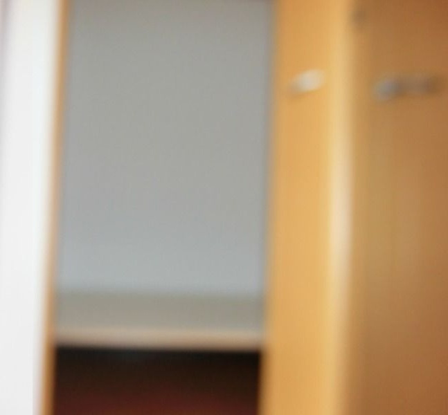 マリア－ジュのその他