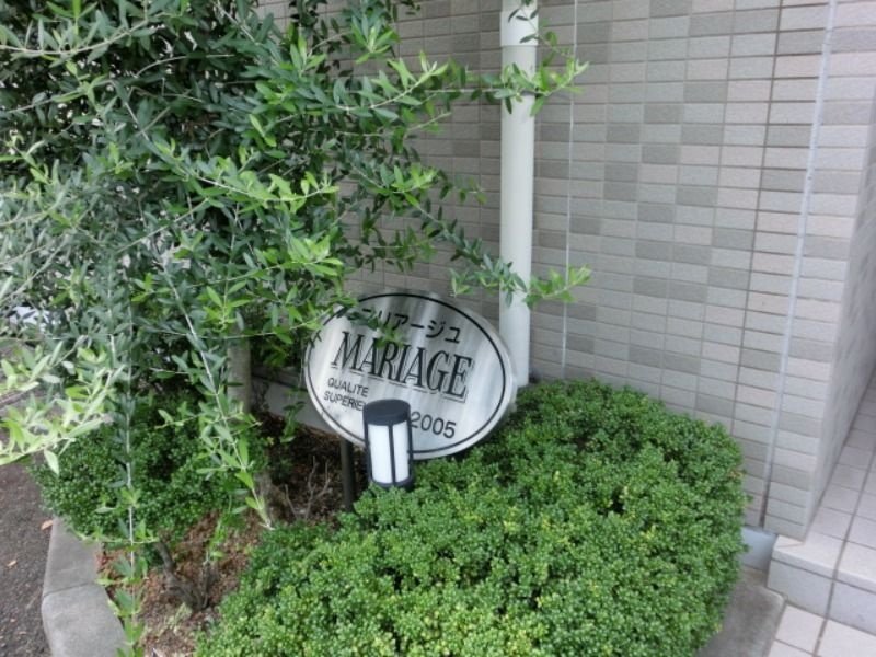 マリア－ジュのその他