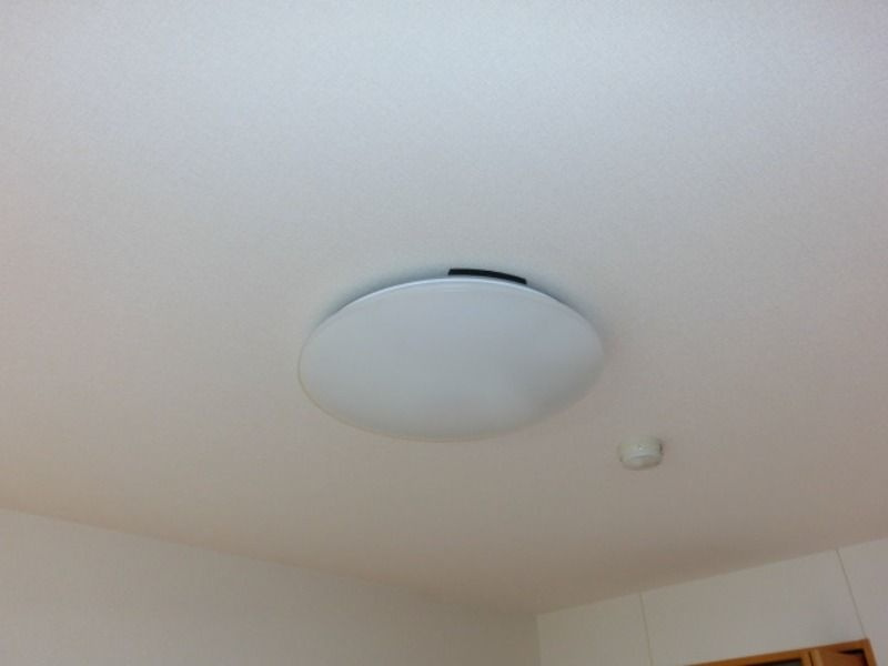 マリア－ジュのその他