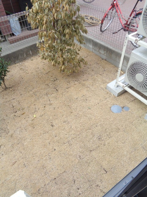 Ｏｎｅｔｔの庭