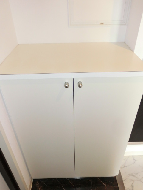 大阪市中央区安堂寺町２丁目の賃貸マンションの収納