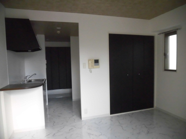 大阪市中央区安堂寺町２丁目の賃貸マンションの内装