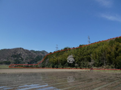 【外観】 | 丹波篠山市山田　山林