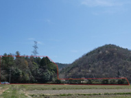丹波篠山市山田　山林の画像